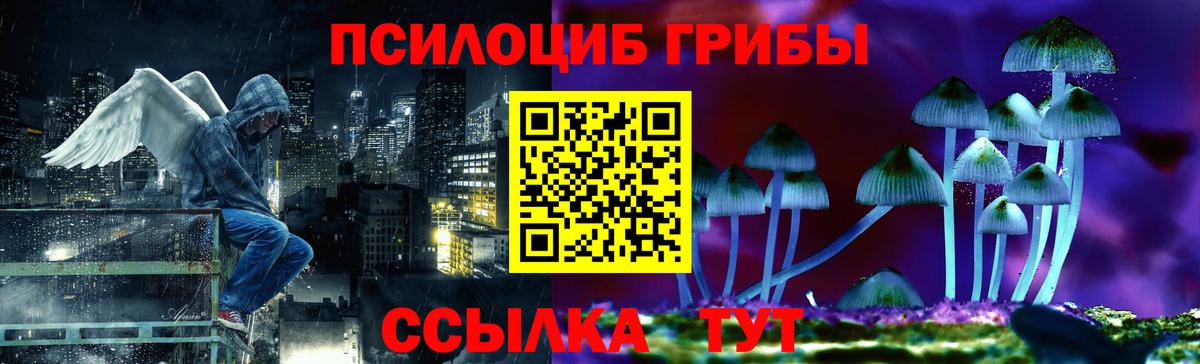 Псилоцибиновые грибы прущие грибы Кулебаки
