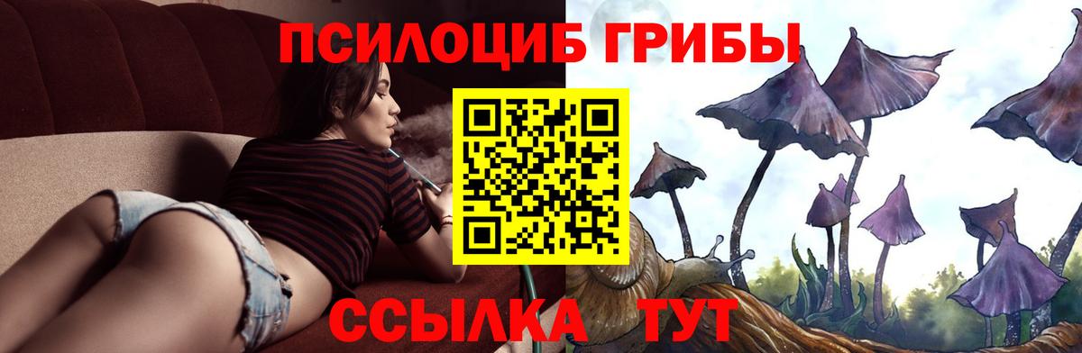 Псилоцибиновые грибы мицелий  Псилоцибиновые грибы Psilocybe  Кулебаки  Вход с VPN 